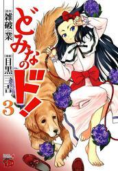 どみなのド！　3