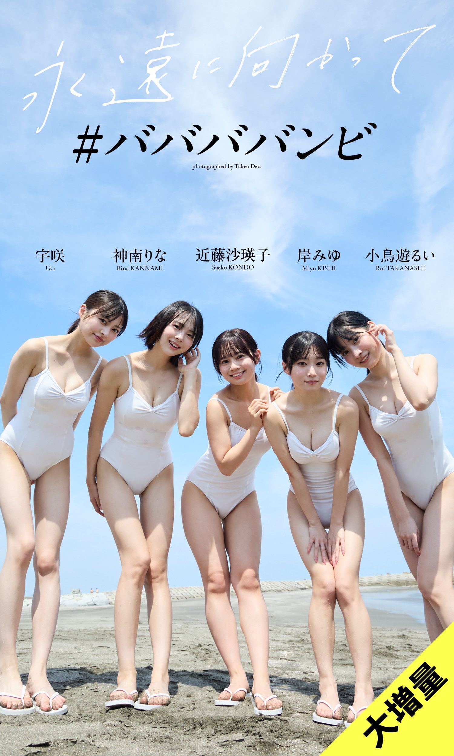 【大増量】＃ババババンビ写真集「永遠に向かって」