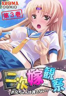 二次嫁観察 ~お兄ちゃんは渡さないっ~