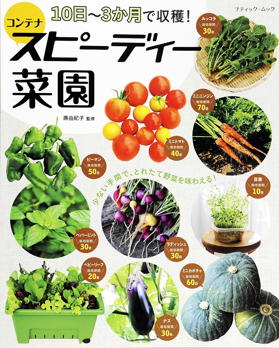 10日～3か月で収穫！コンテナスピーディー菜園