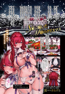 S家に嫁いだM嬢のクリスマス