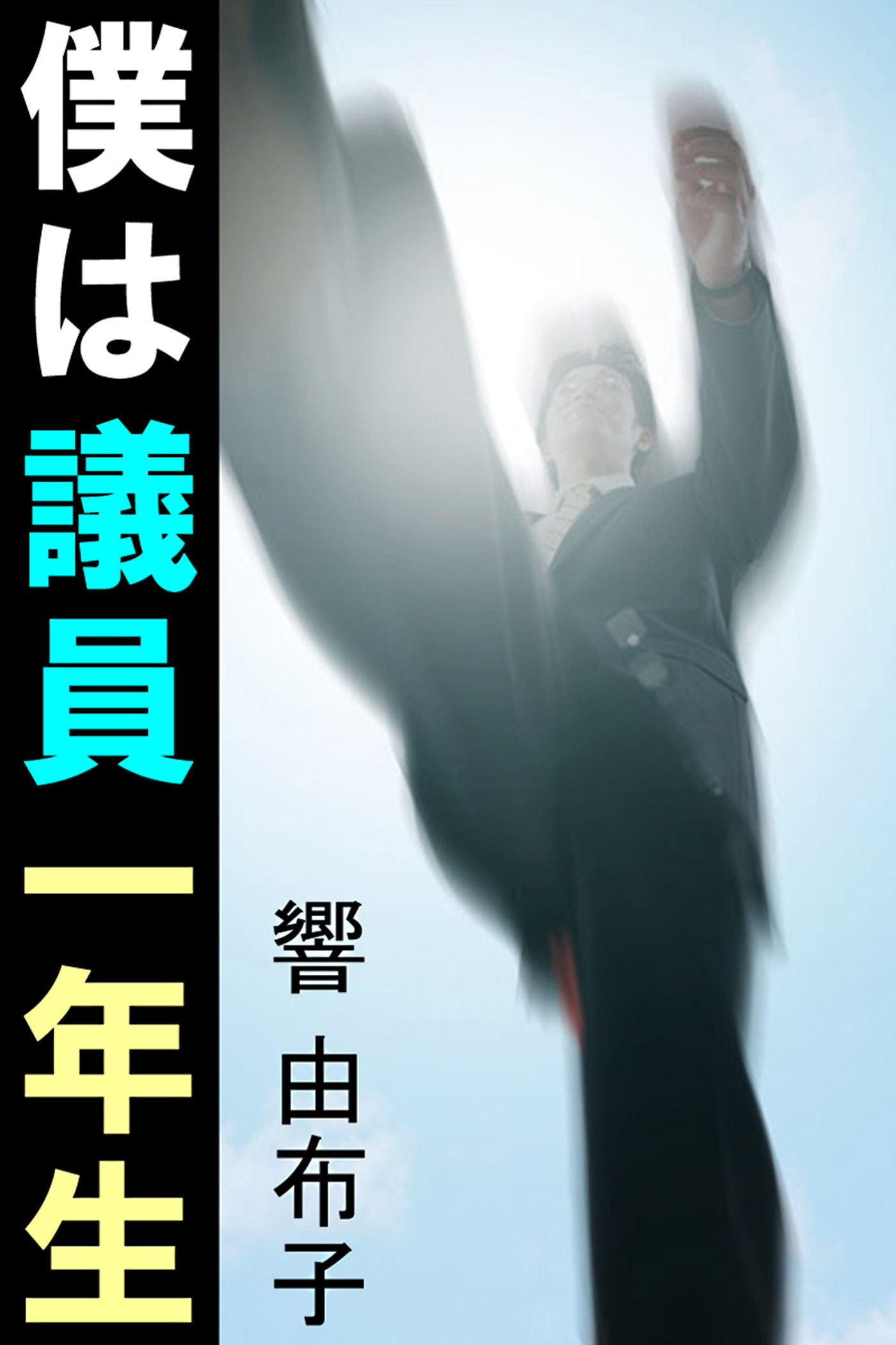 僕は議員一年生