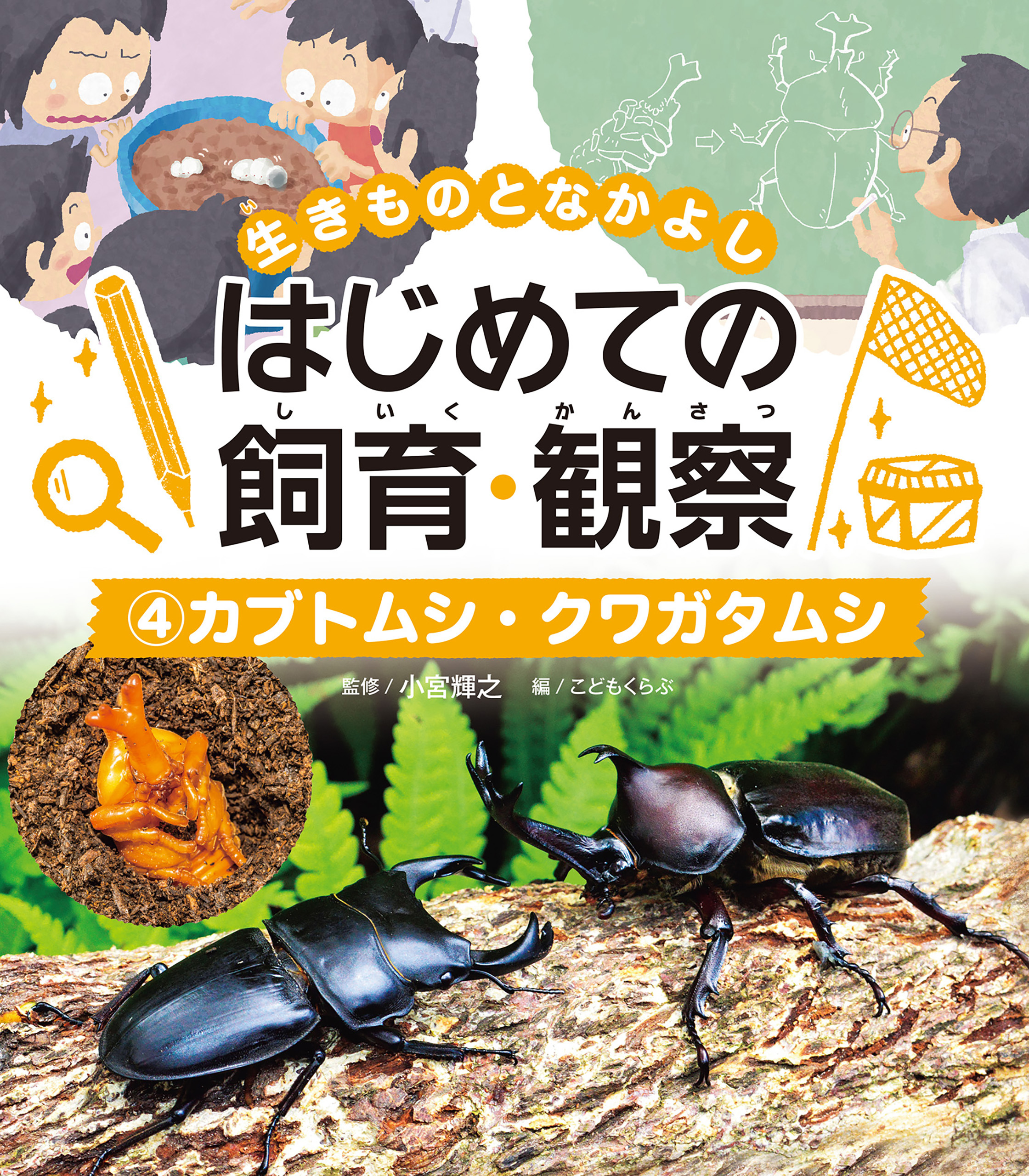 カブトムシ・クワガタムシ４　生きものとなかよし　はじめての飼育・観察