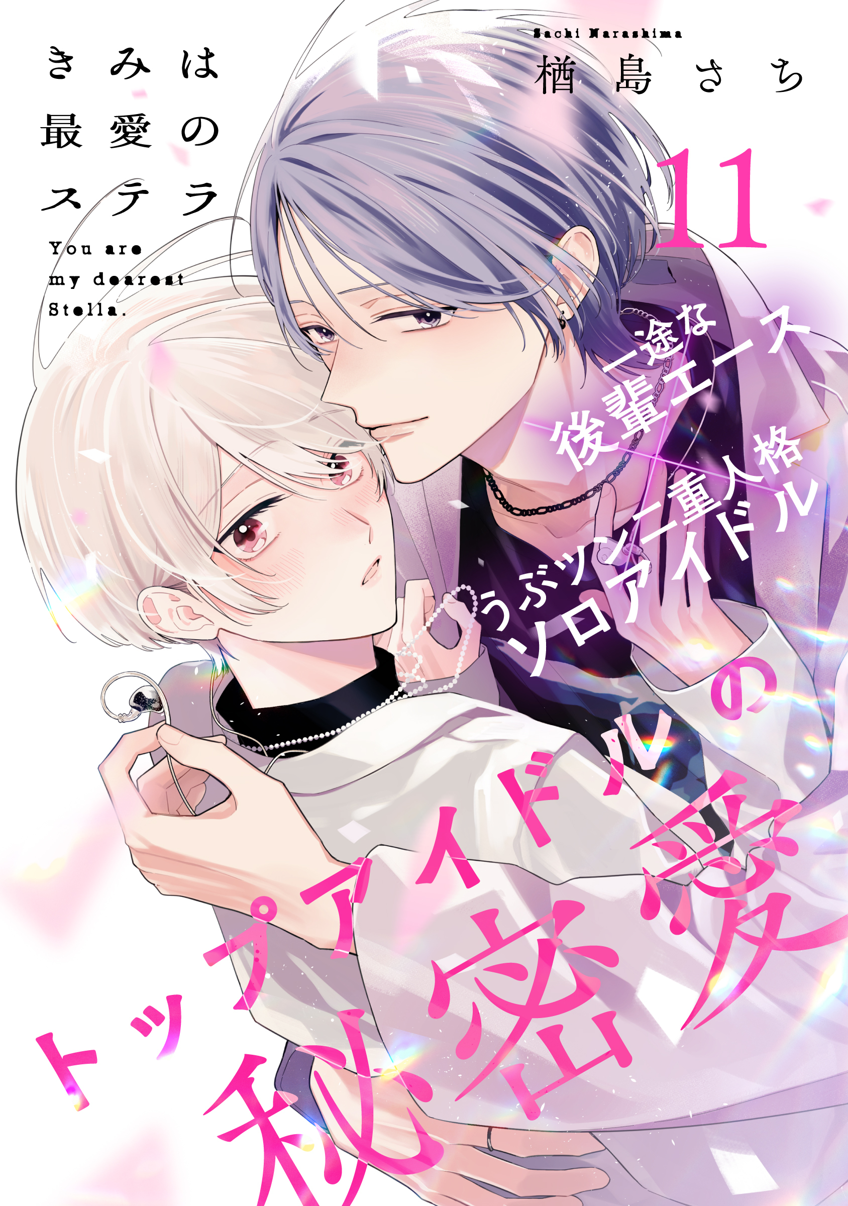 きみは最愛のステラ(11)