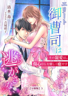 エリート御曹司は逃がさない~その寵愛は、傷心OLを優しく癒やす~【分冊版】3