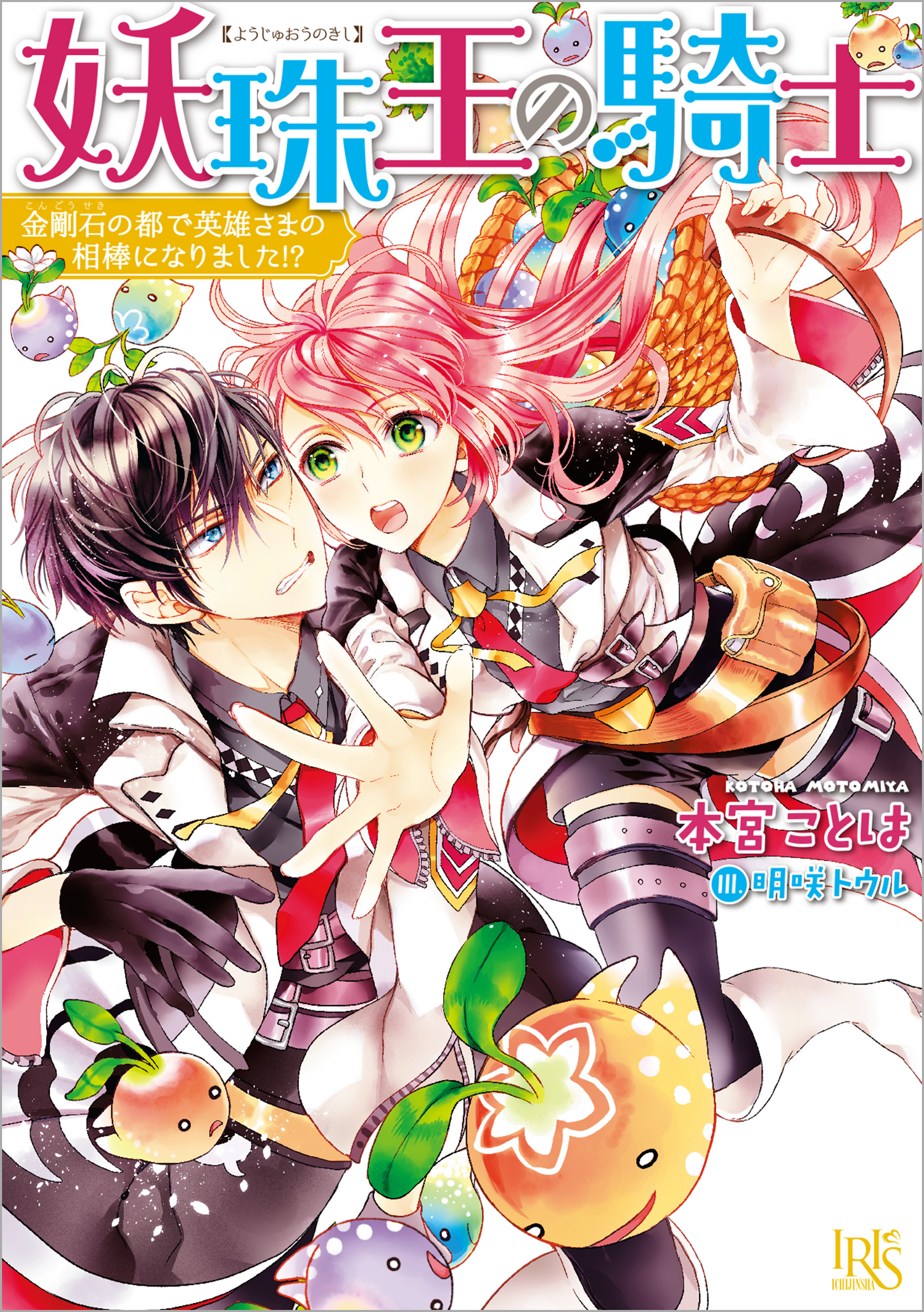 妖珠王の騎士 金剛石の都で英雄さまの相棒になりました！？