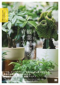 もう枯らさない!観葉植物の育て方 プロが教えるセオリー&アイデア