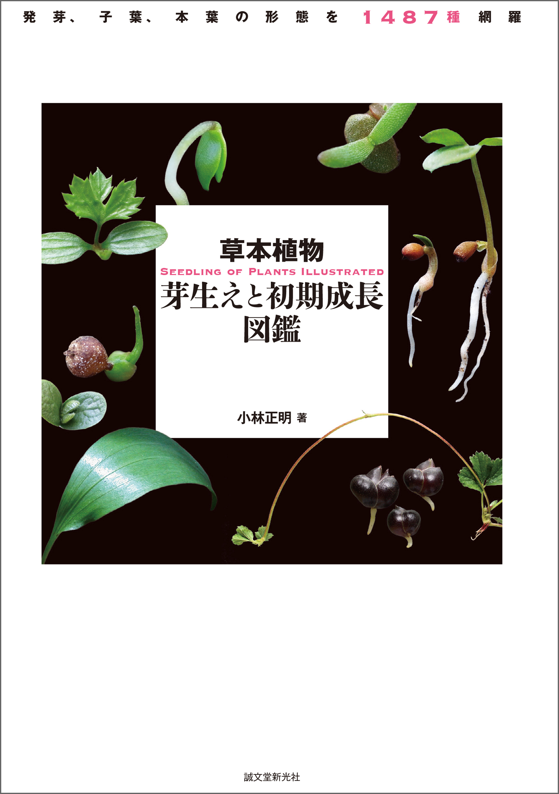 草本植物 芽生えと初期成長図鑑