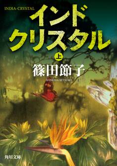 インドクリスタル 上