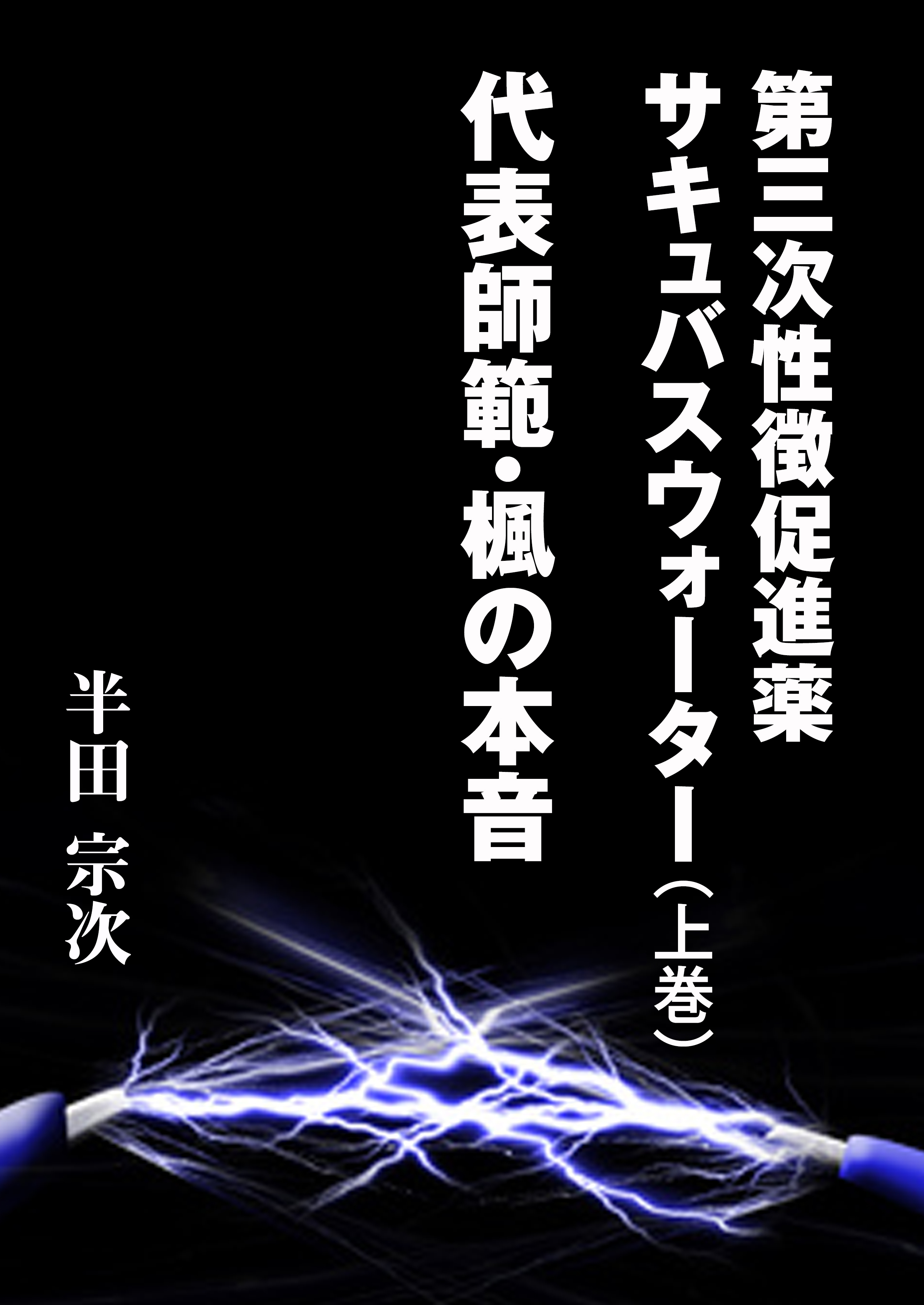第三次性徴促進薬　サキュバスウォーター（上巻）　代表師範・楓の本音