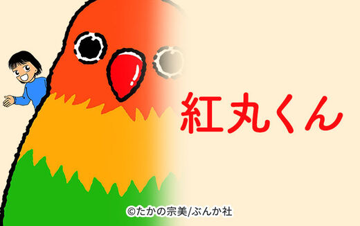 11話無料 金魚に首ったけ 分冊版 無料連載 Amebaマンガ 旧 読書のお時間です 11話無料 金魚に首ったけ 分冊版 無料連載 Amebaマンガ 旧 読書のお時間です