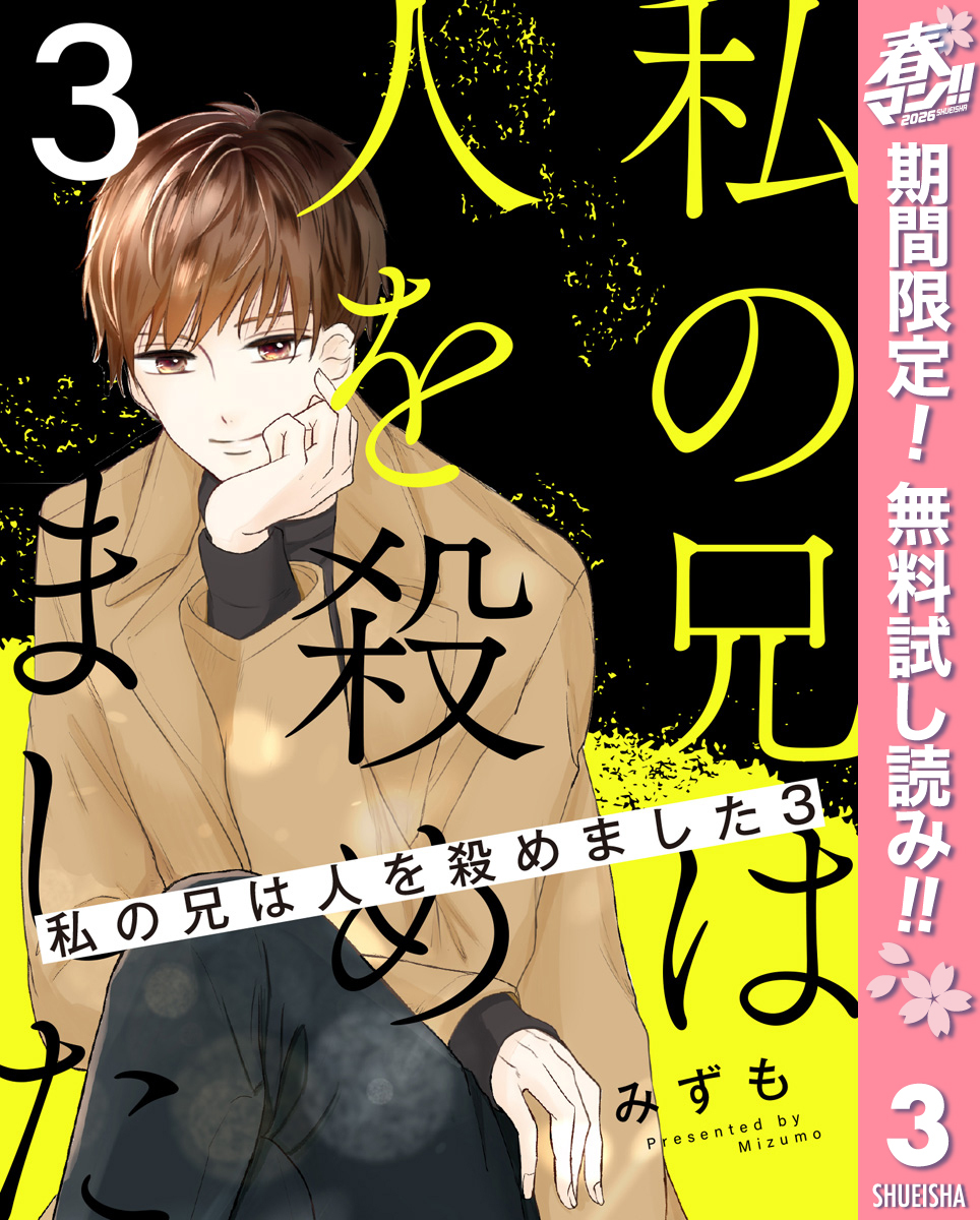 私の兄は人を殺めました【期間限定無料】 3