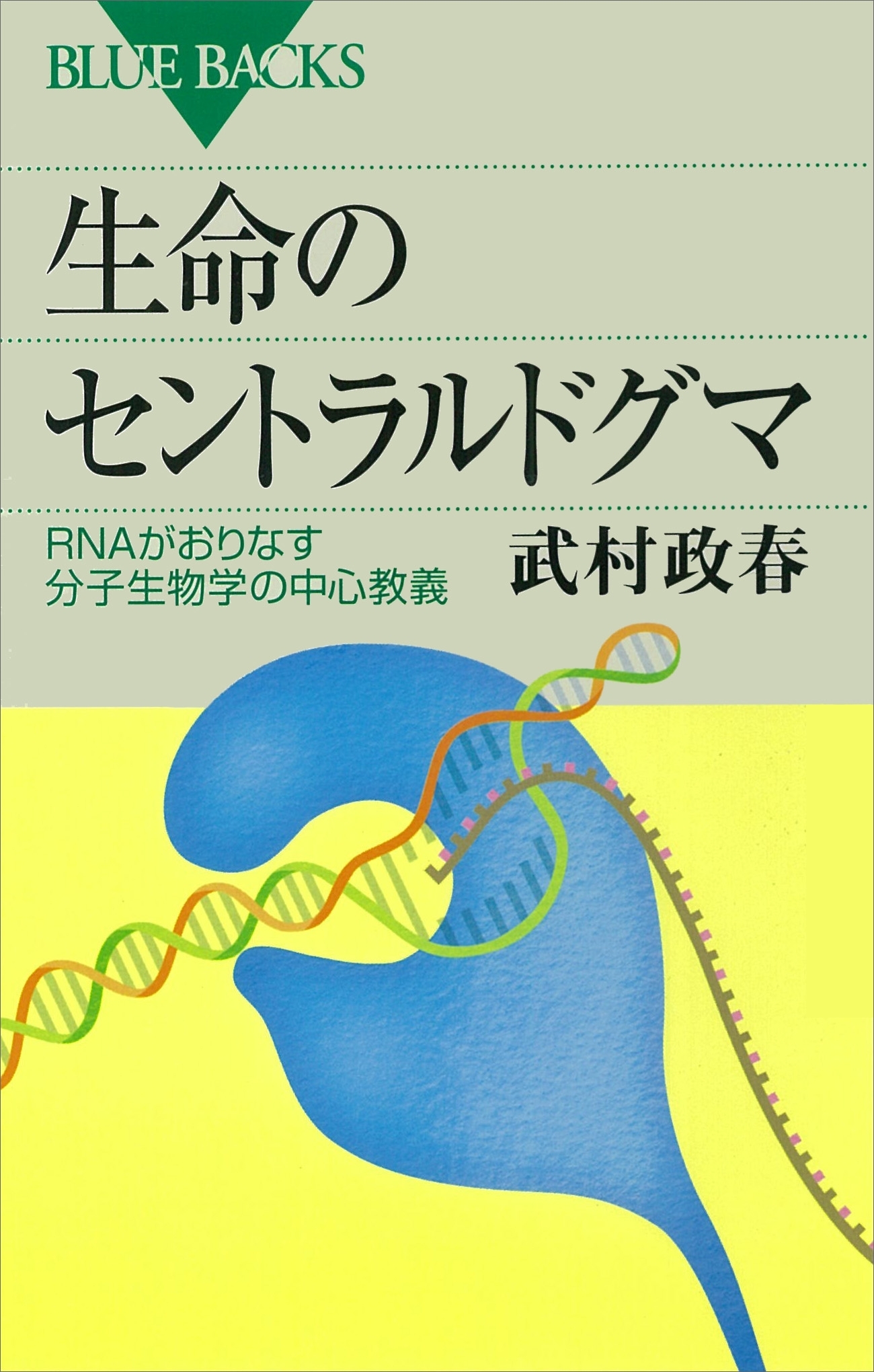 生命のセントラルドグマ　ＲＮＡがおりなす分子生物学の中心教義