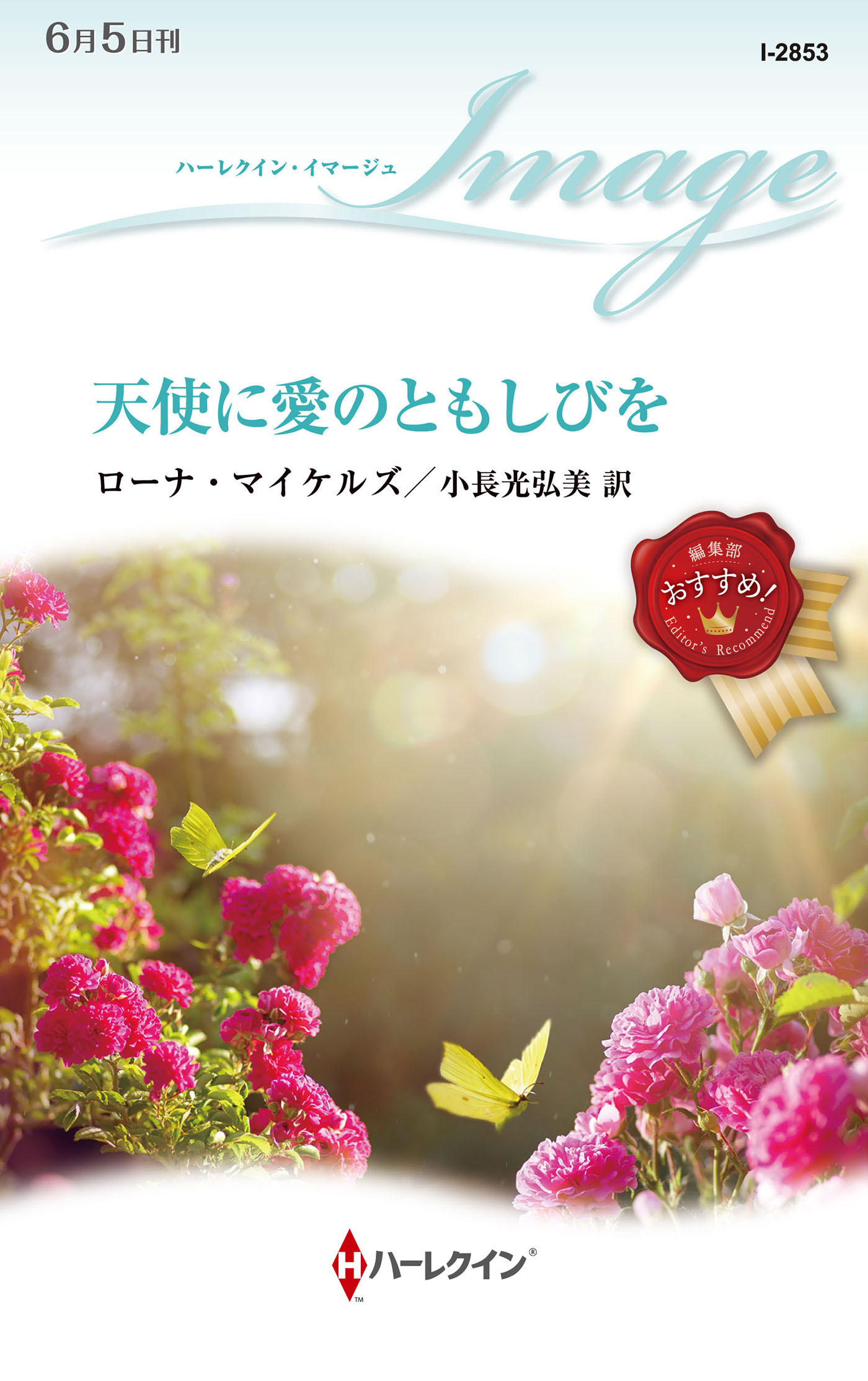 天使に愛のともしびを