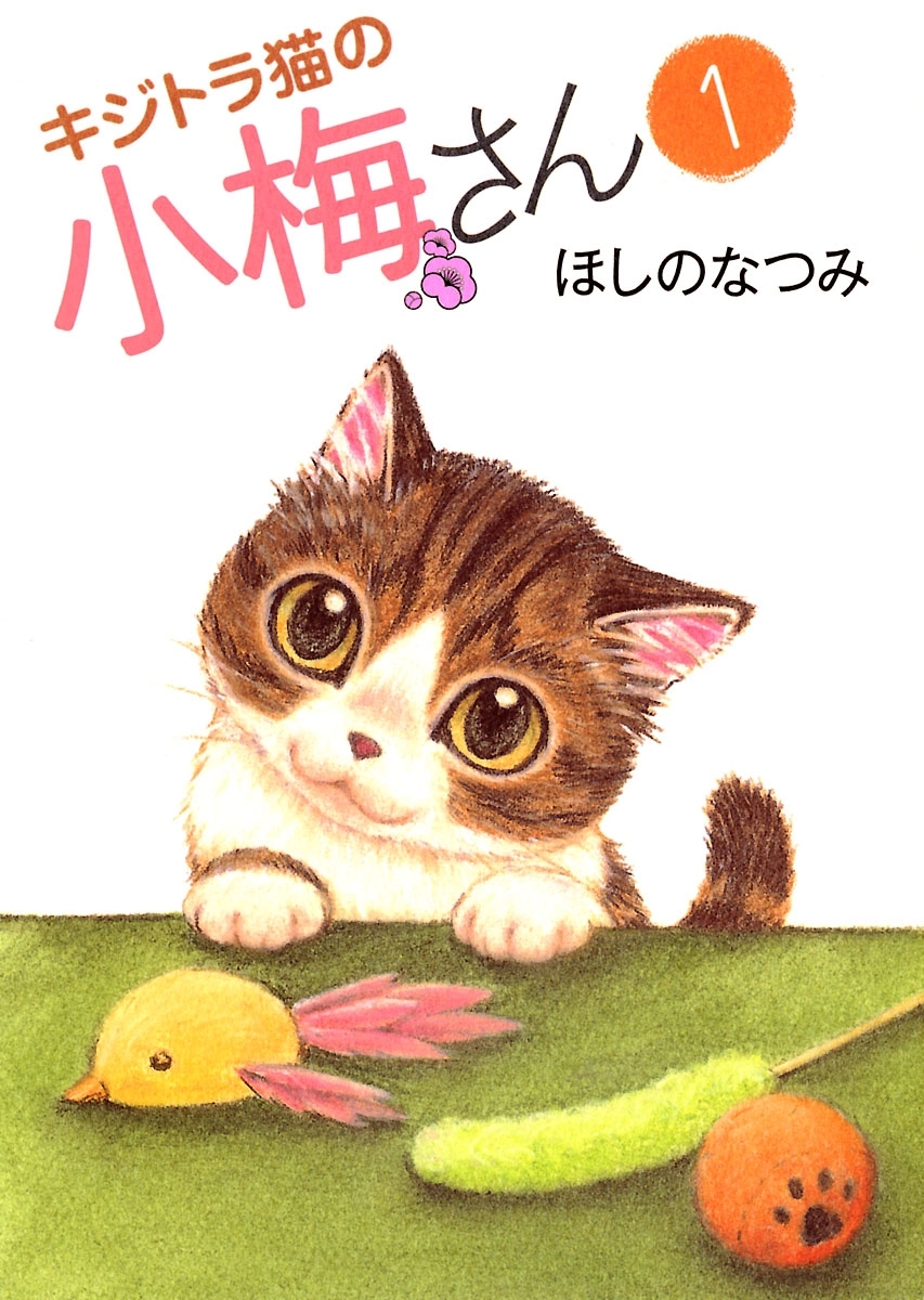 笑って癒される 猫漫画おすすめ10選 19年最新版 Amebaマンガ 旧 読書のお時間です
