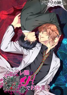 絶頂転生!?ツンデレ猫はHでお仕置き