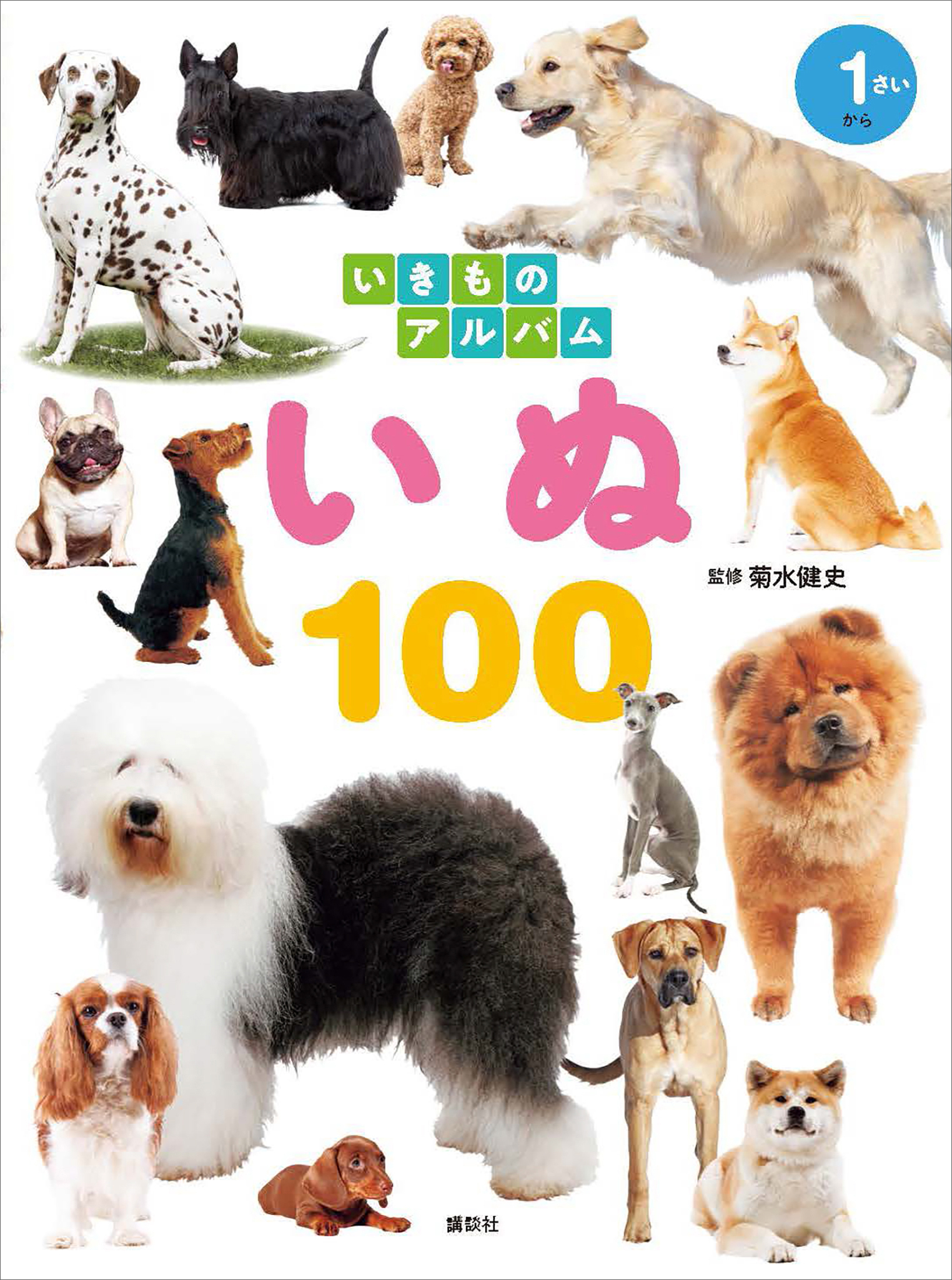 いきものアルバム　いぬ１００