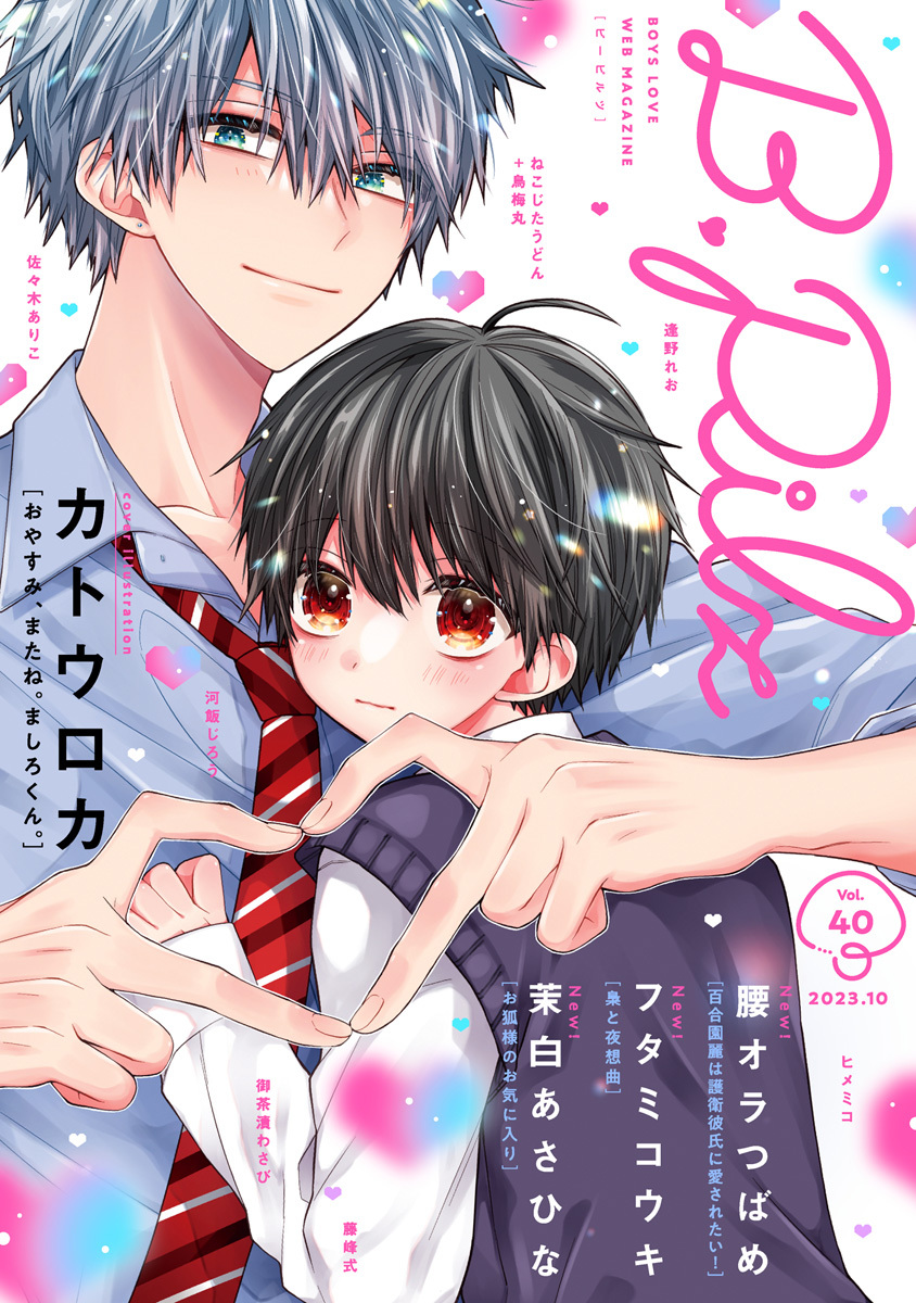 B.Pilz　ｖｏｌ．40