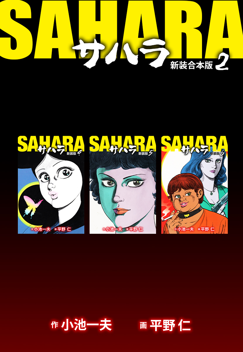 サハラ【新装合本版】2