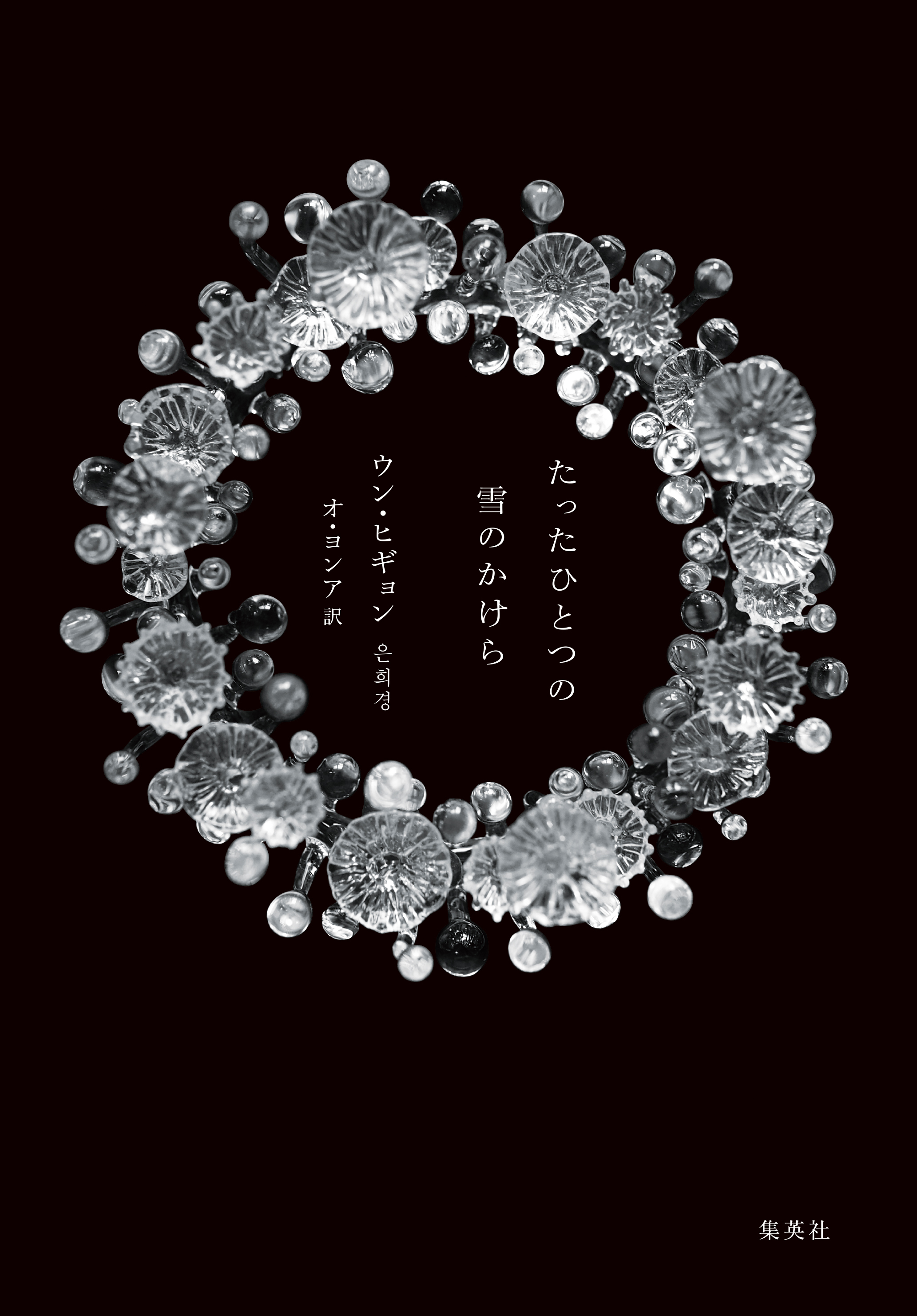 たったひとつの雪のかけら