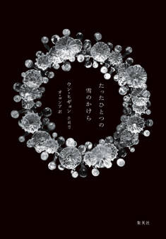 たったひとつの雪のかけら