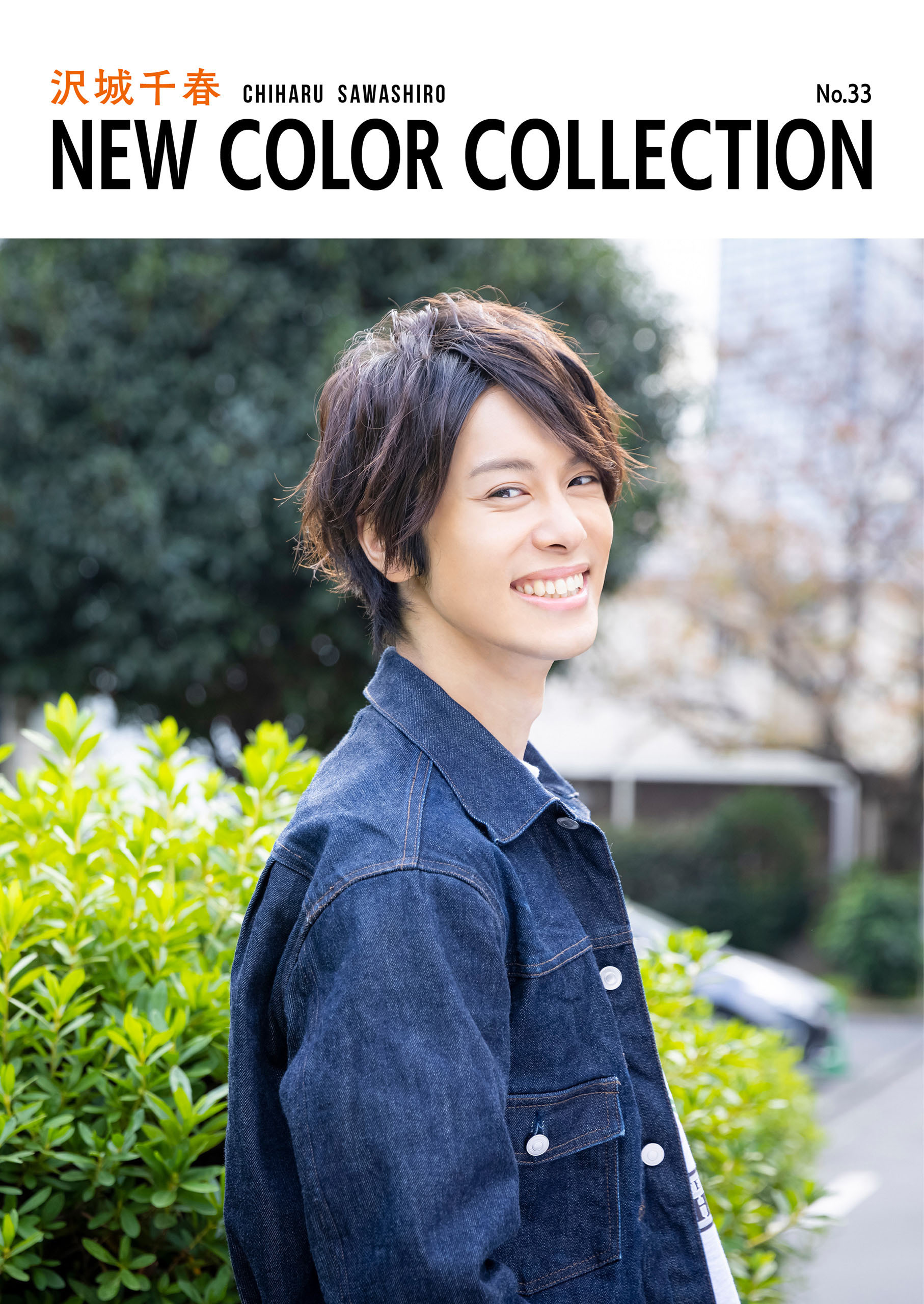 沢城千春 NEW COLOR COLLECTION No.33
