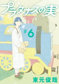 プラタナスの実 6