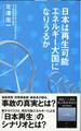 日本は再生可能エネルギー大国になりうるか
