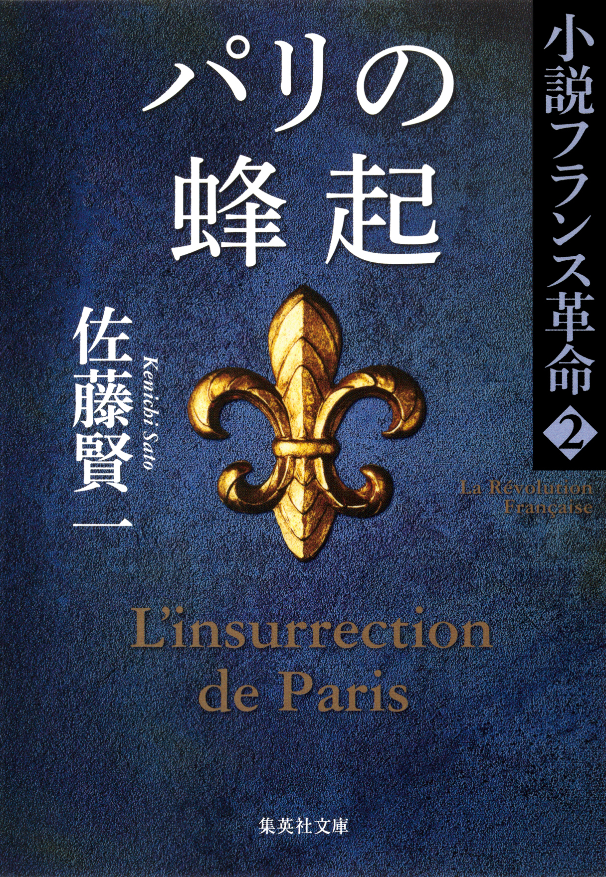 小説フランス革命2巻|佐藤賢一|人気漫画を無料で試し読み・全巻お得に読むならAmebaマンガ