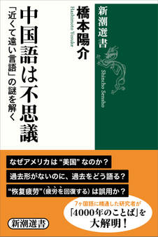 中国語は不思議―「近くて遠い言語」の謎を解く―(新潮選書)
