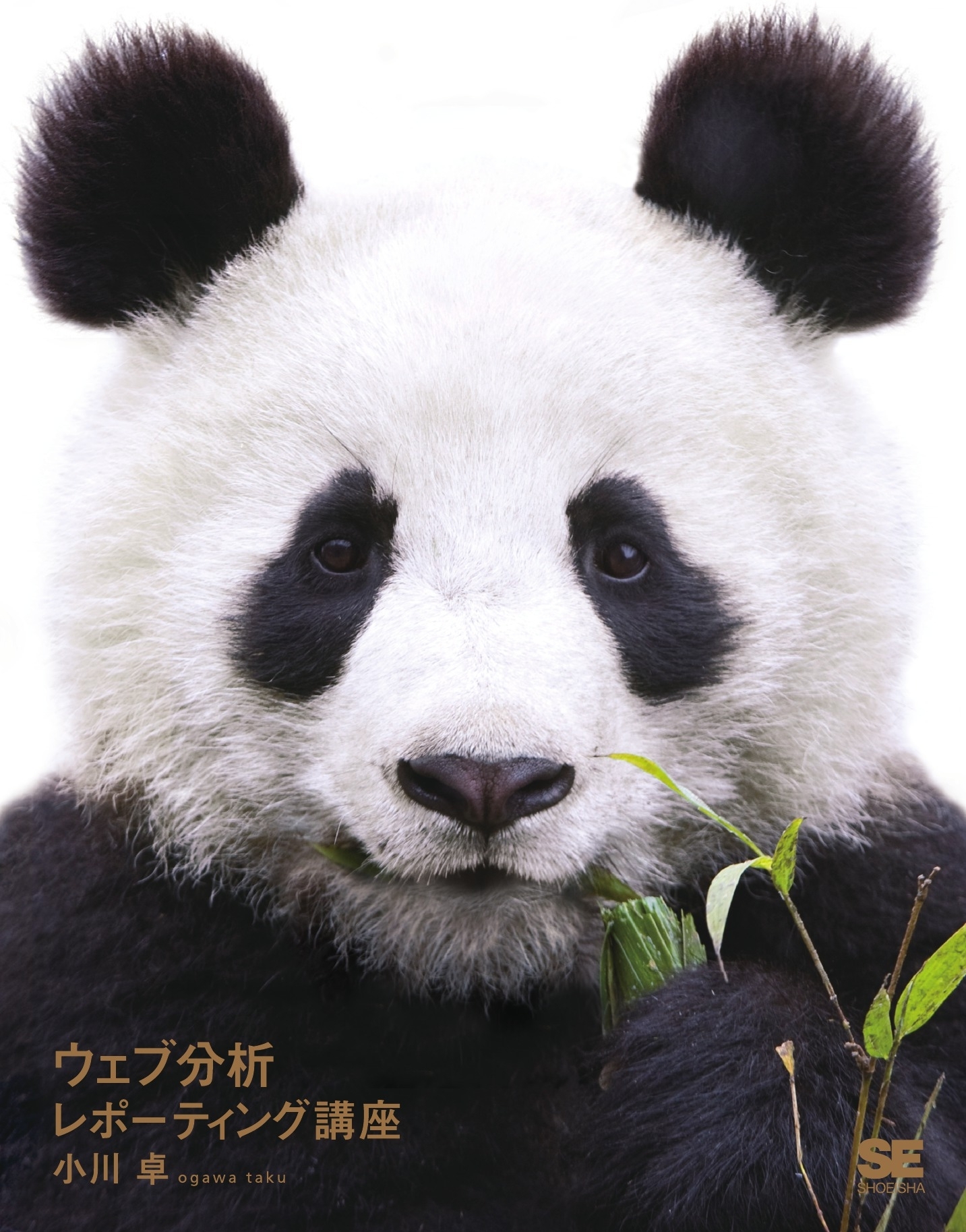 ウェブ分析レポーティング講座