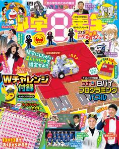 小学8年生