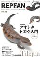 REPFAN vol.8