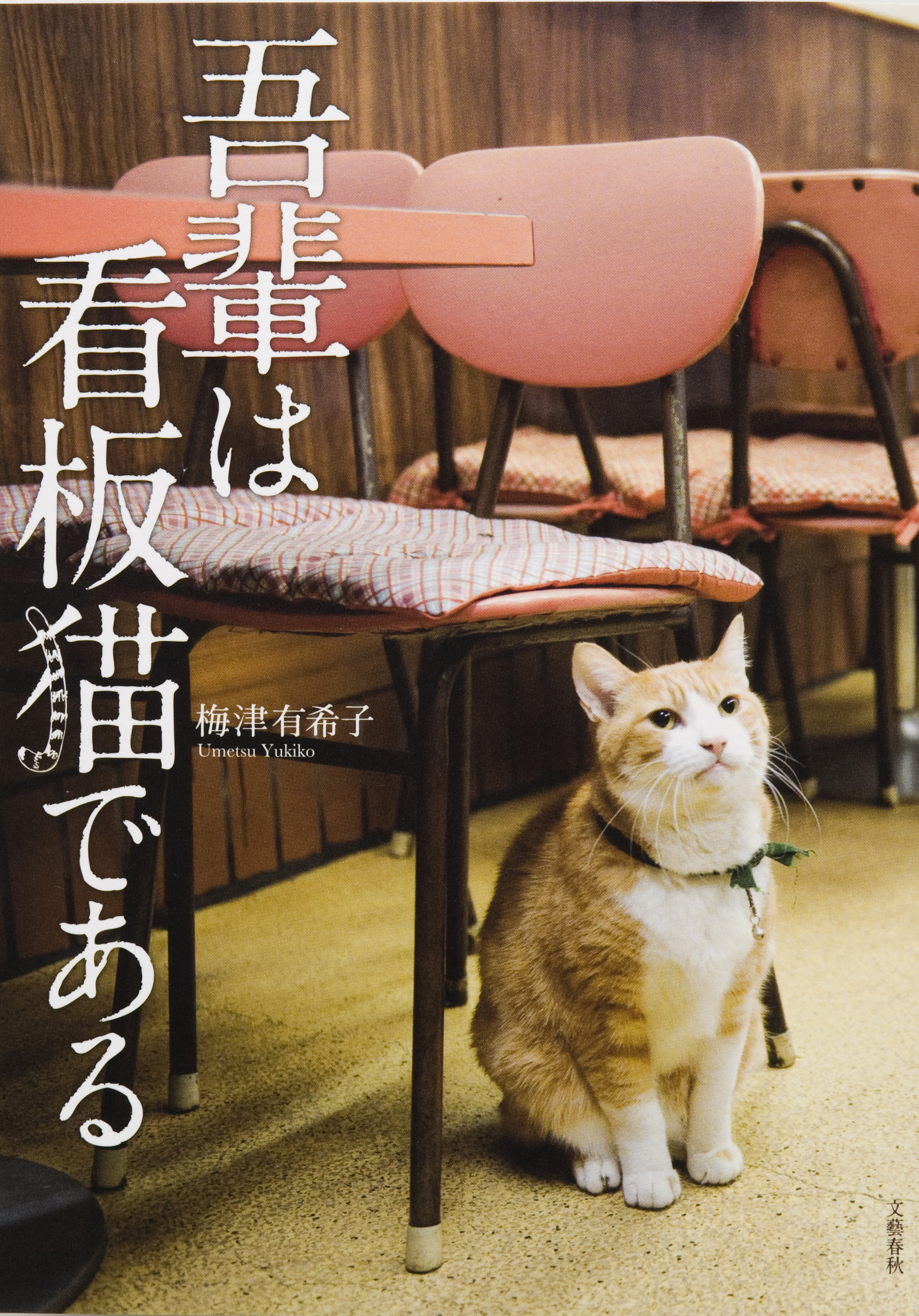 吾輩は看板猫である