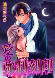 愛の強制刻印～絶対に忘れられない～