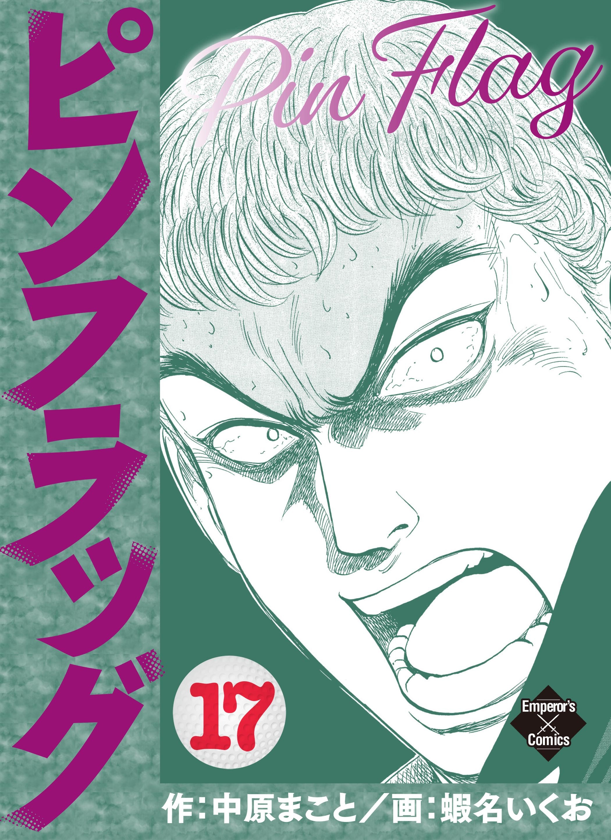 ピンフラッグ 17