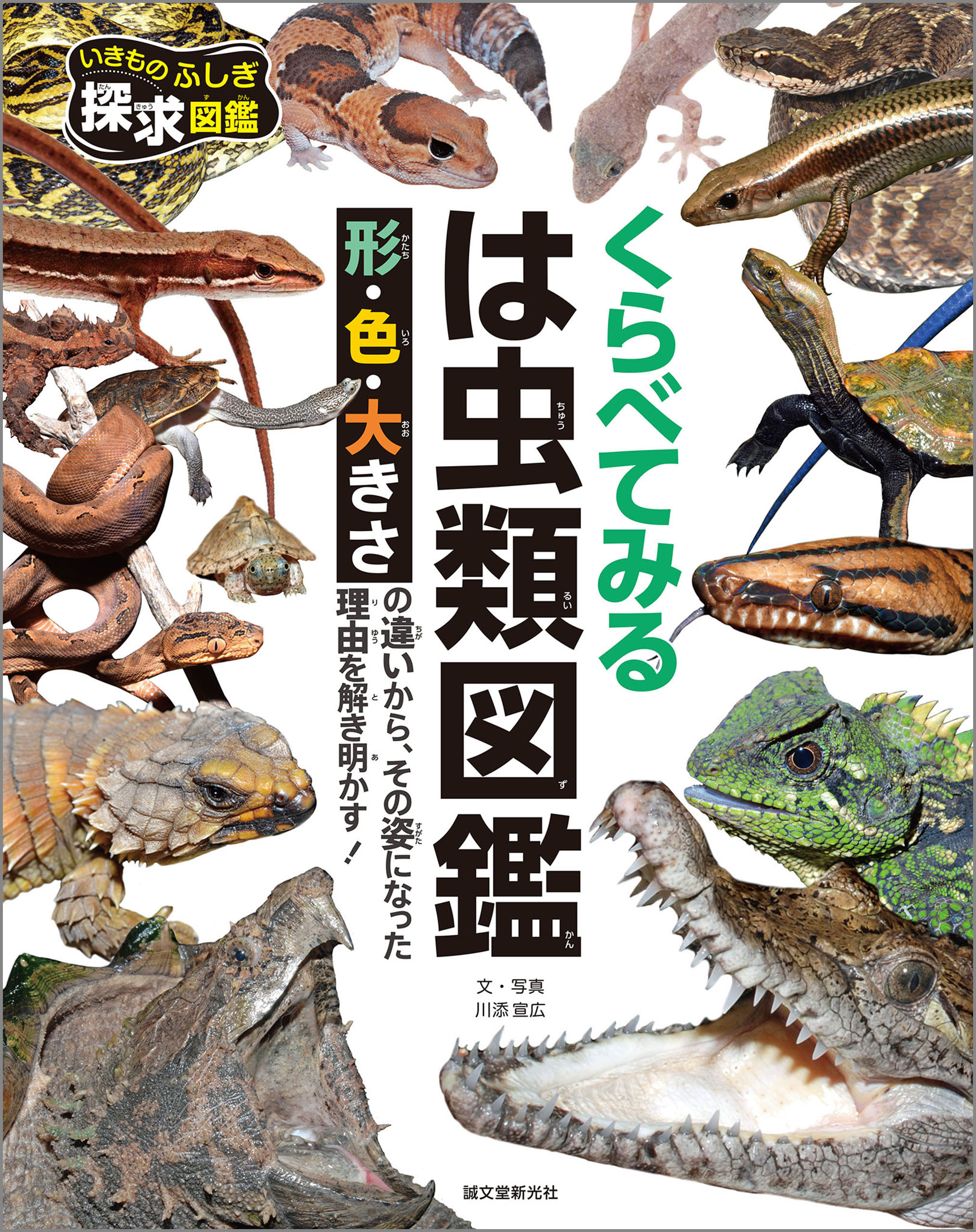 くらべてみる　は虫類図鑑