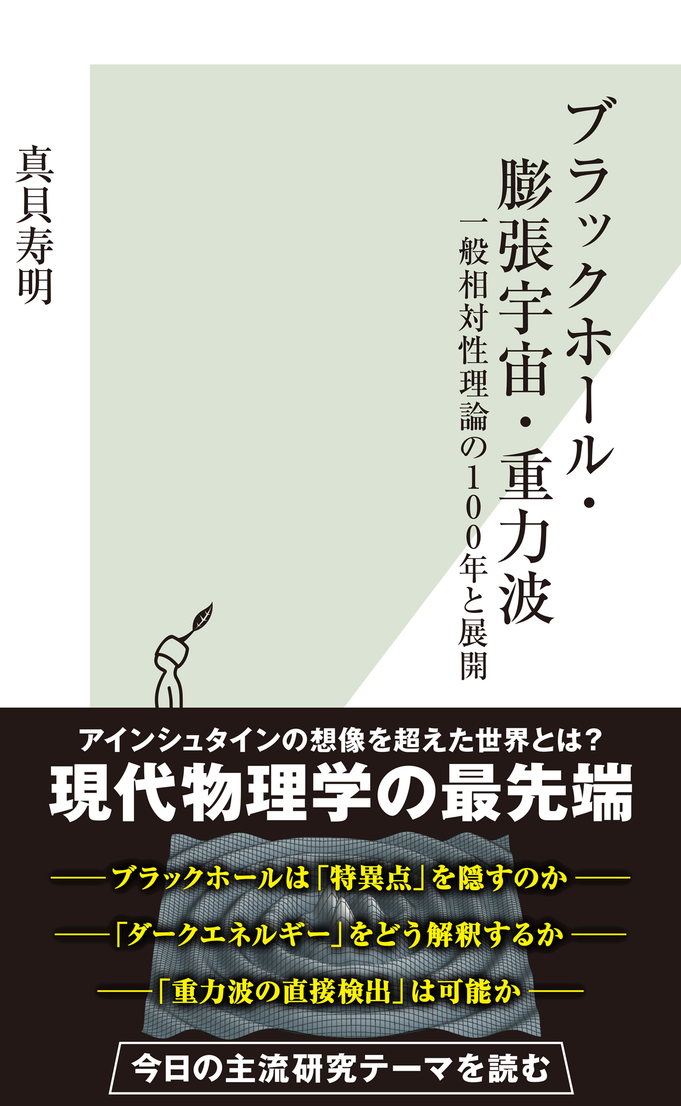 ブラックホール・膨張宇宙・重力波～一般相対性理論の100年と展開～