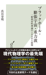 ブラックホール・膨張宇宙・重力波～一般相対性理論の100年と展開～