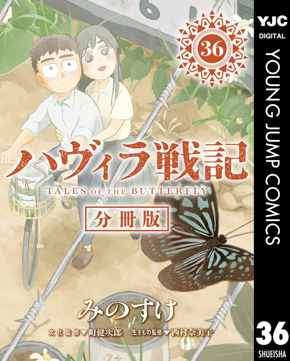 ハヴィラ戦記 第36話