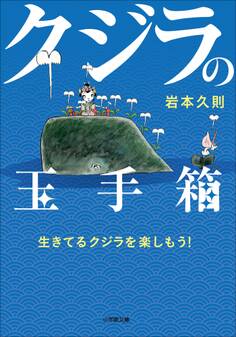 クジラの玉手箱~生きてるクジラを楽しもう!