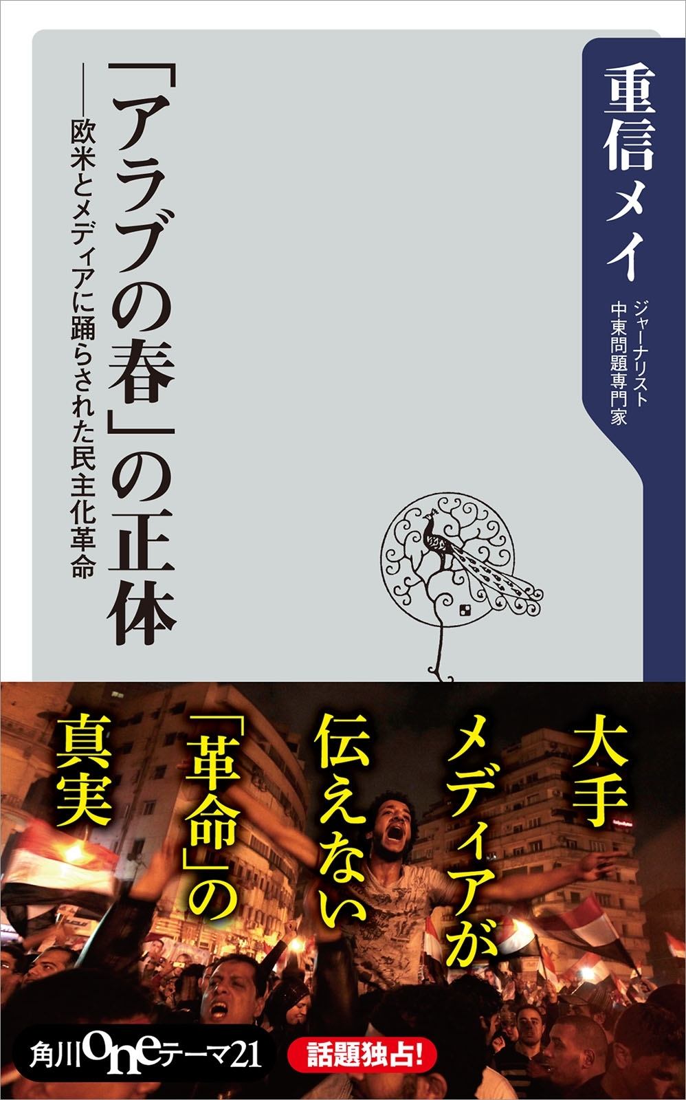 「アラブの春」の正体　欧米とメディアに踊らされた民主化革命
