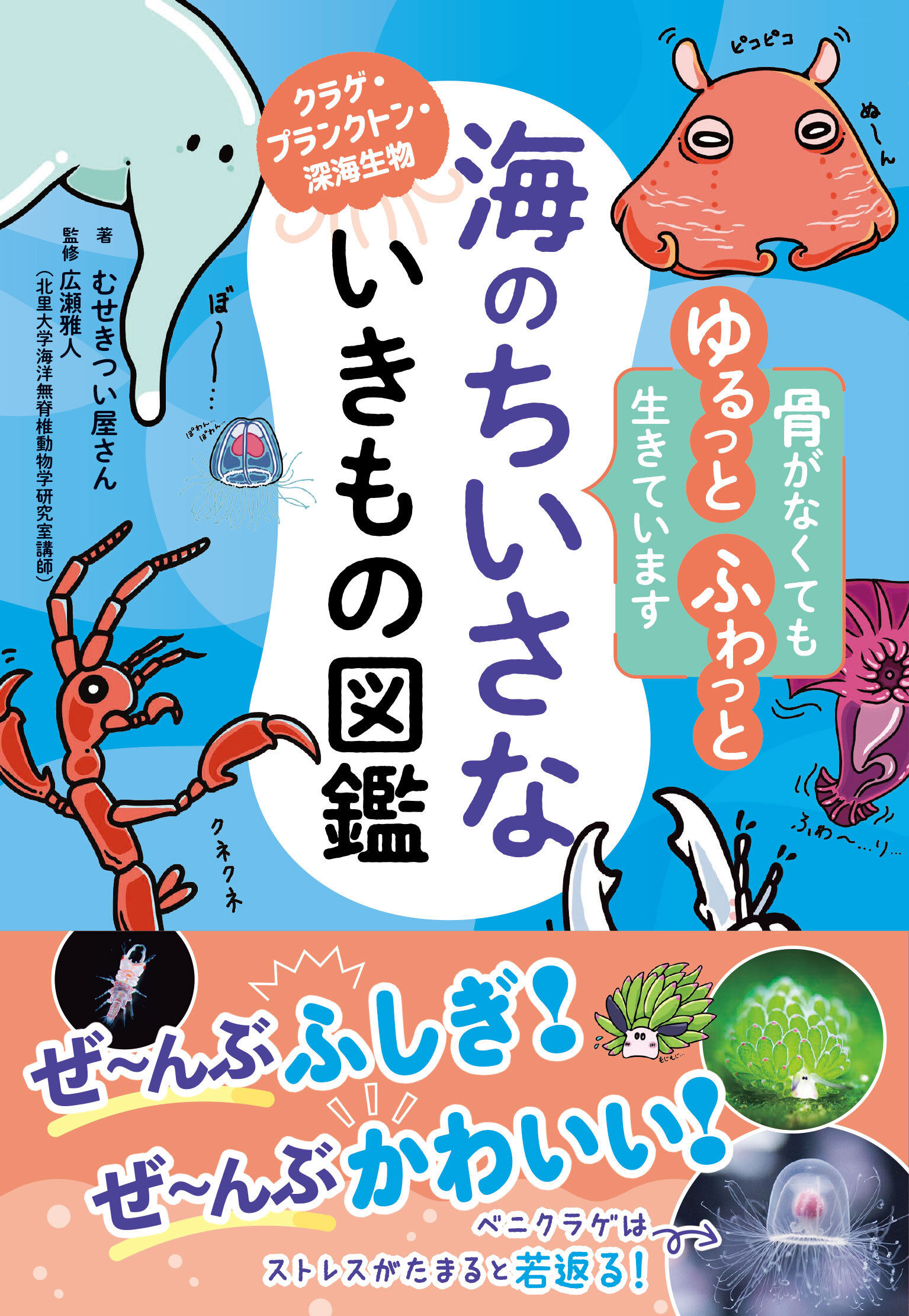 海のちいさないきもの図鑑