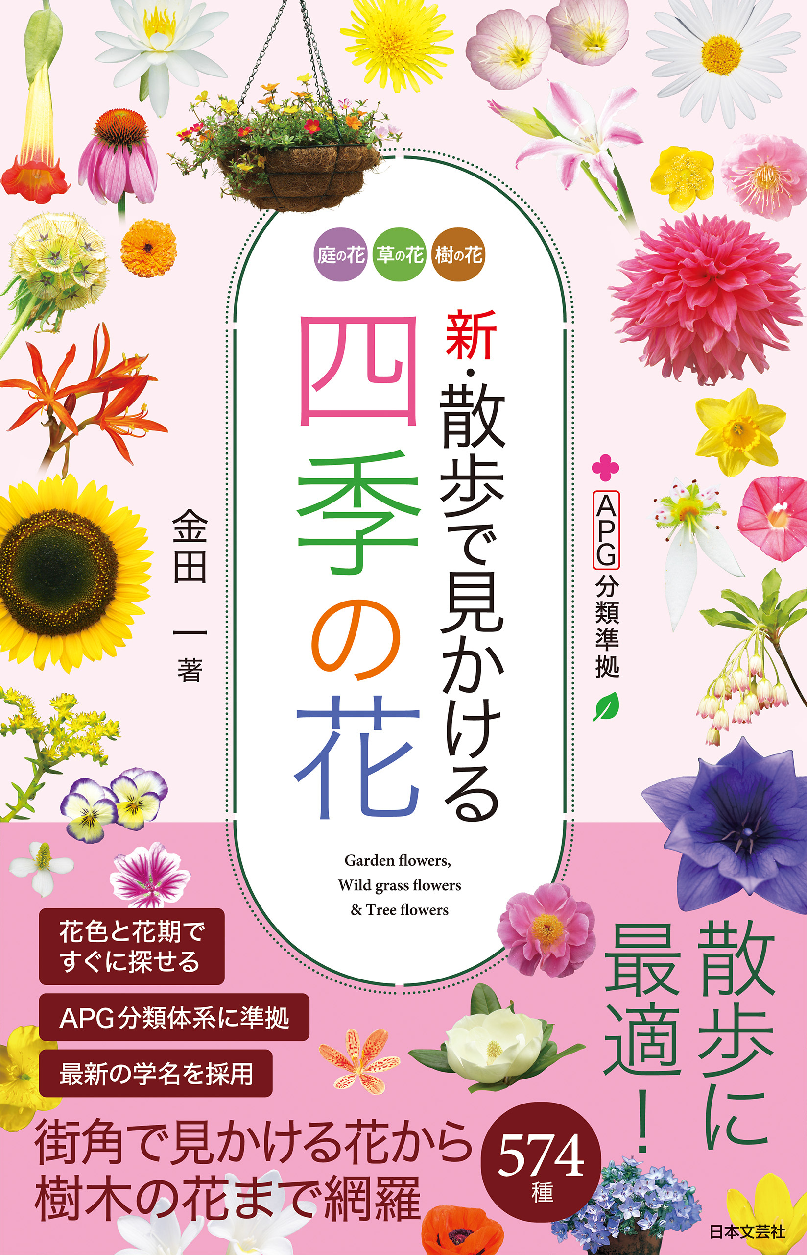 新・散歩で見かける四季の花