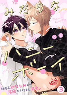 みだらなハニーボーイ 分冊版 : 3