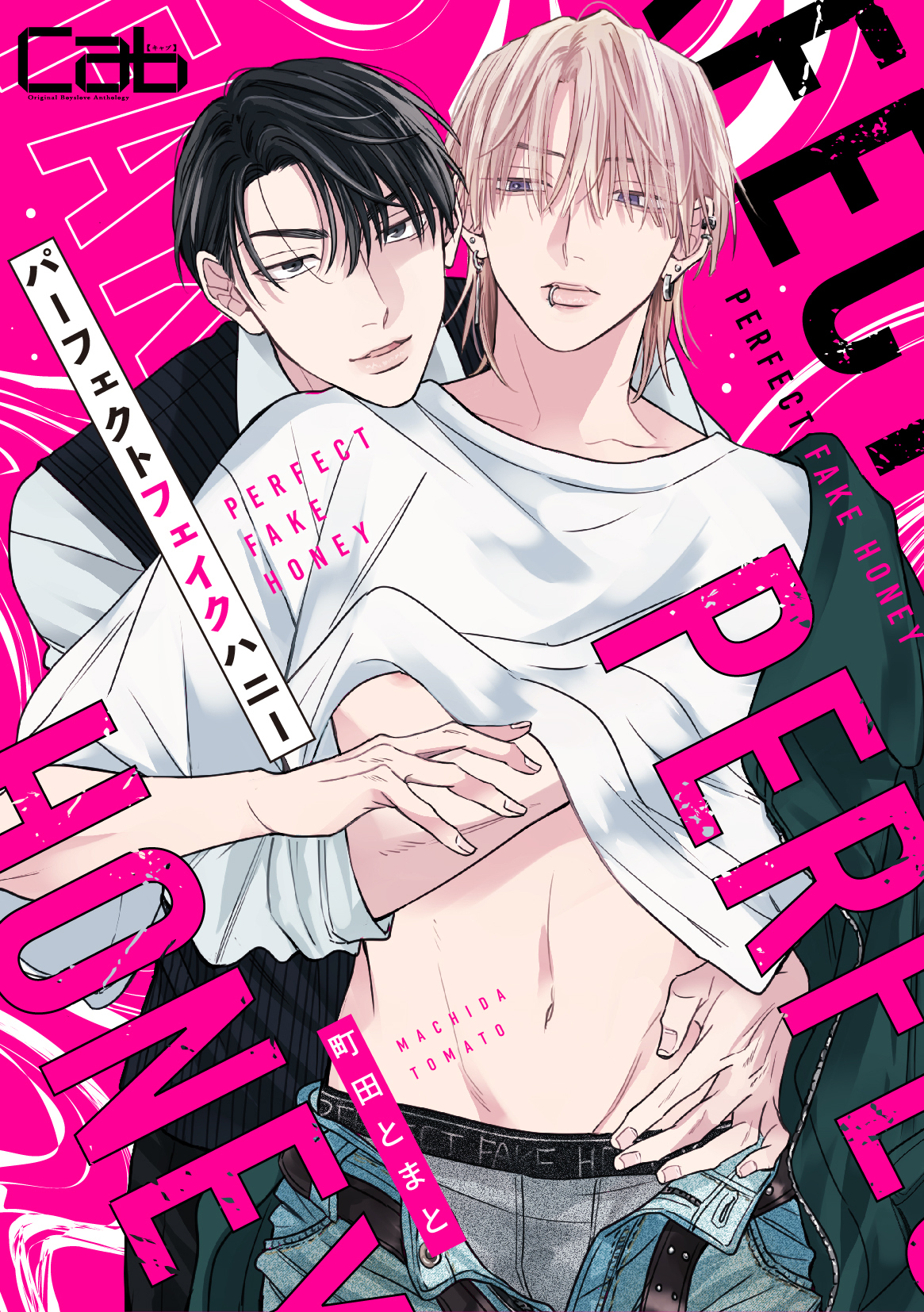 パーフェクトフェイクハニー 2