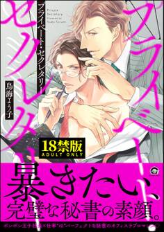 プライベート・セクレタリー【極】【電子限定かきおろし漫画付】
