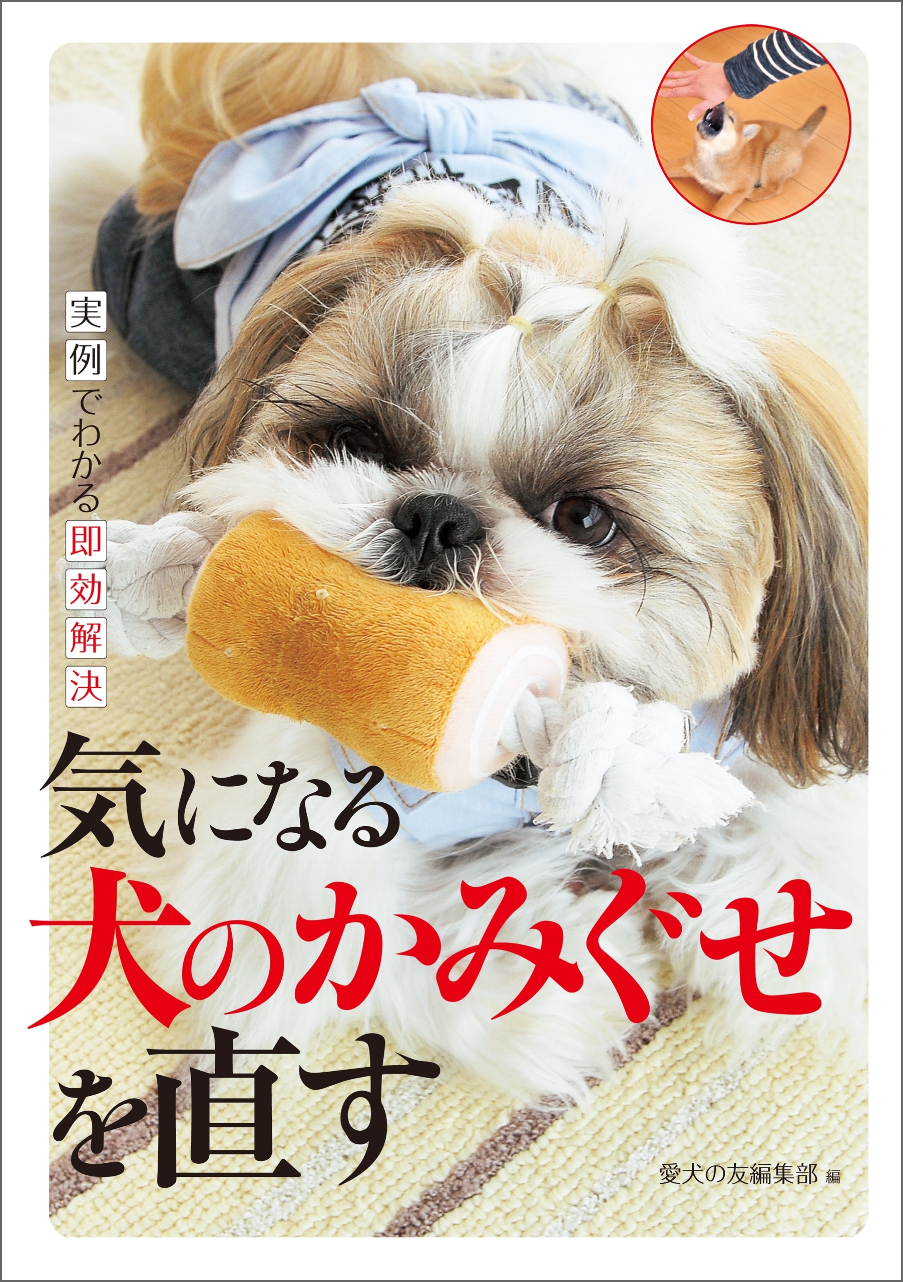 気になる犬のかみぐせを直す