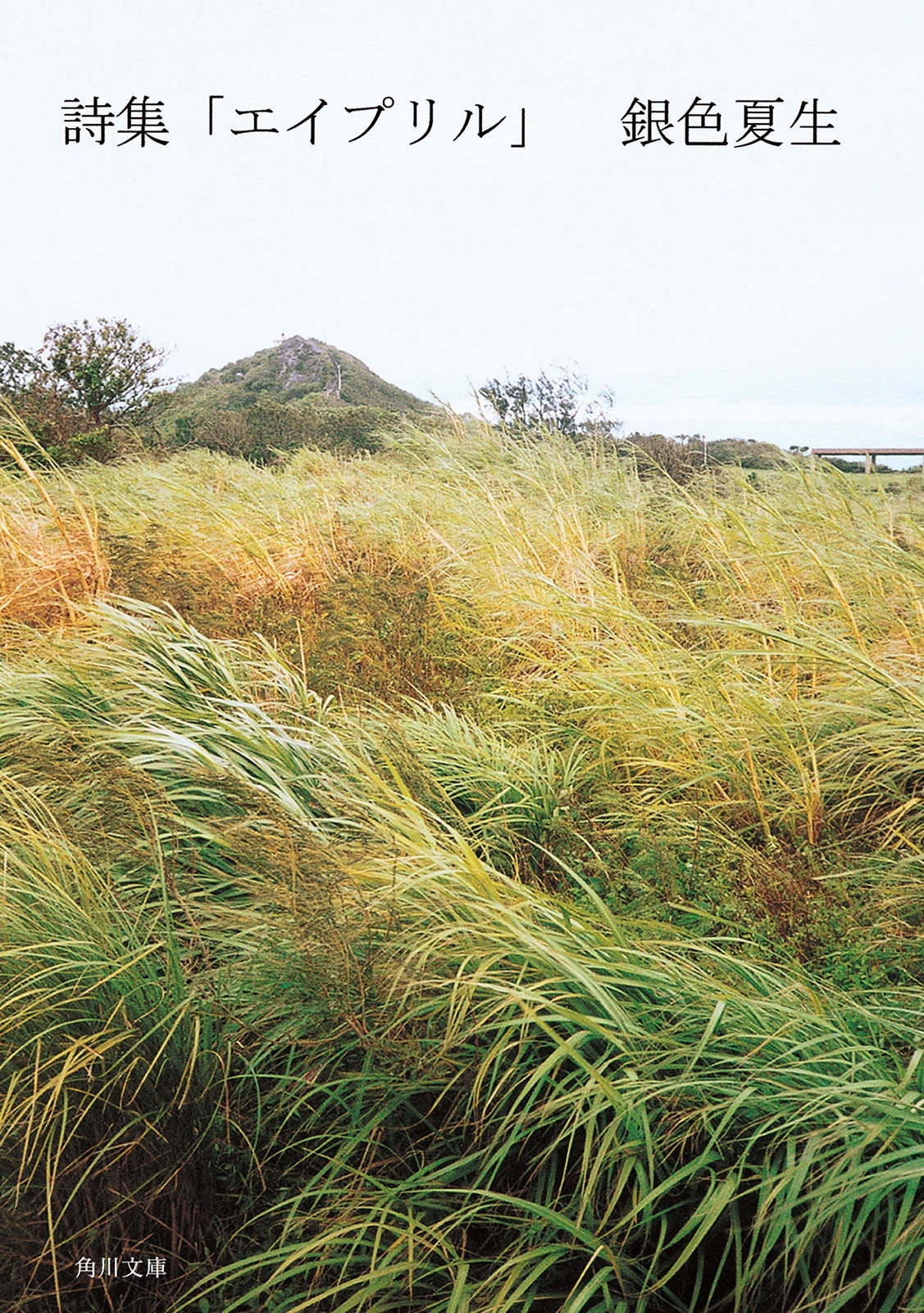 【写真詩集】詩集　エイプリル