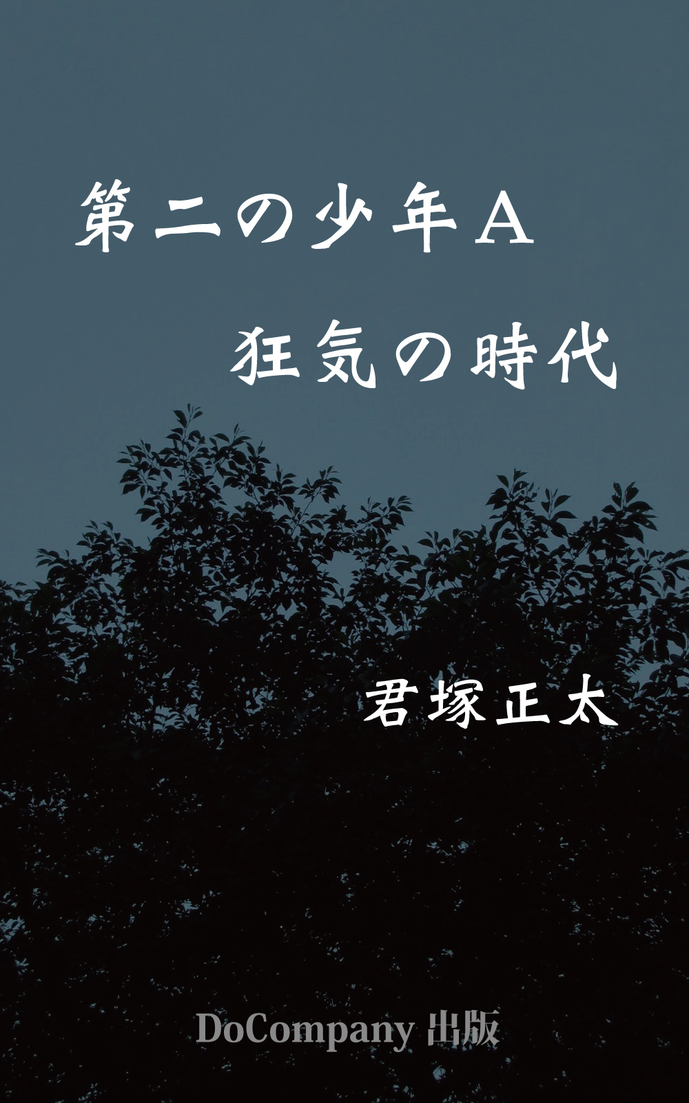 第二の少年Ａ　狂気の時代